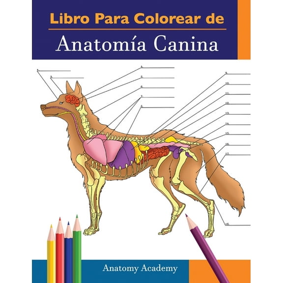 Libro para colorear de Anatomía Canina: Libro de Colores de Autoevaluación Muy Detallado de Anatomía Canina El Regalo Pe, (Paperback)