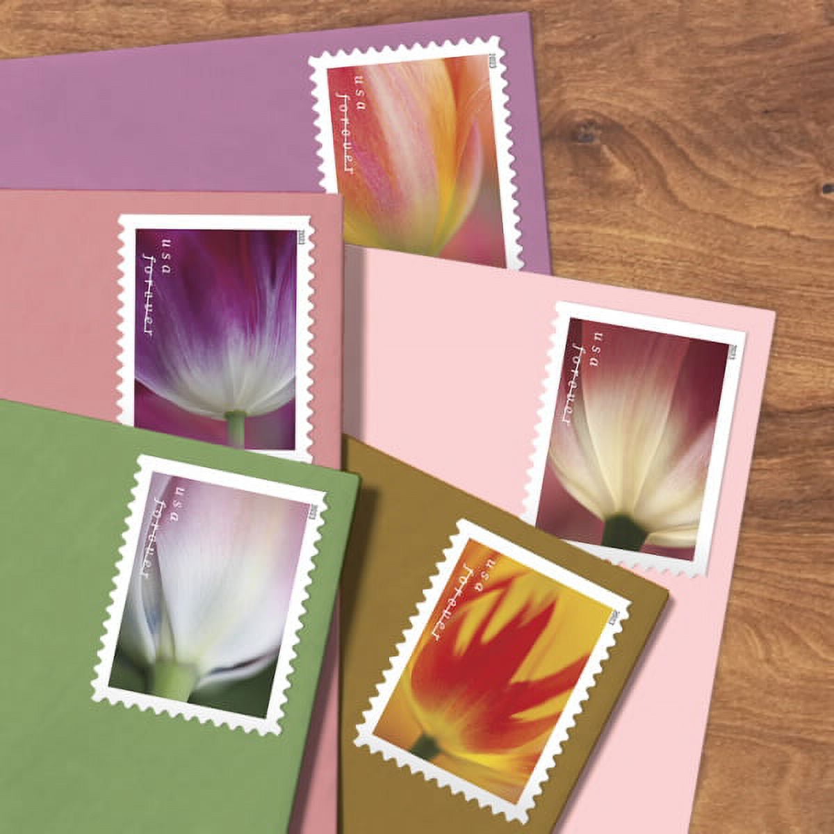  Cactus Flowers Book of 20 Forever First Class Postage Stamps  Celebration Wedding : Office Products