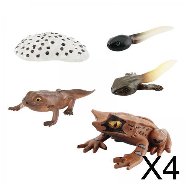 Juego Cognitivo De Animales Modelo Del Ciclo De Vida De Ranas Montessori De 4 Piezas Para Niños, Estilo De