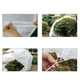 thumbnail image 6 of Large Fruits Tree Netting Cover with zippered and Drawstring Bird Barrier Netting, 6 of 9