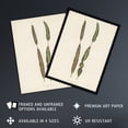thumbnail image 2 of Vintage Botanical Croton Interruptum Leaf Fawcett Huge Wall Art Poster Print, 2 of 4