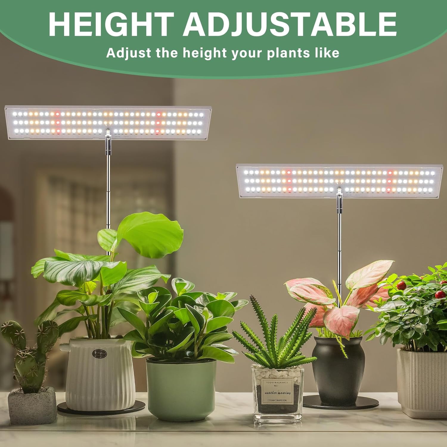 LORDEM Grow Light