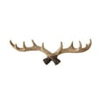 thumbnail image 5 of Vintage Deer Antlers Wall Hooks - 16 Inch Wall Mounted Clothes Hanger Coat Rack Key Holder for Decorative Wall Hook (White), 5 of 6