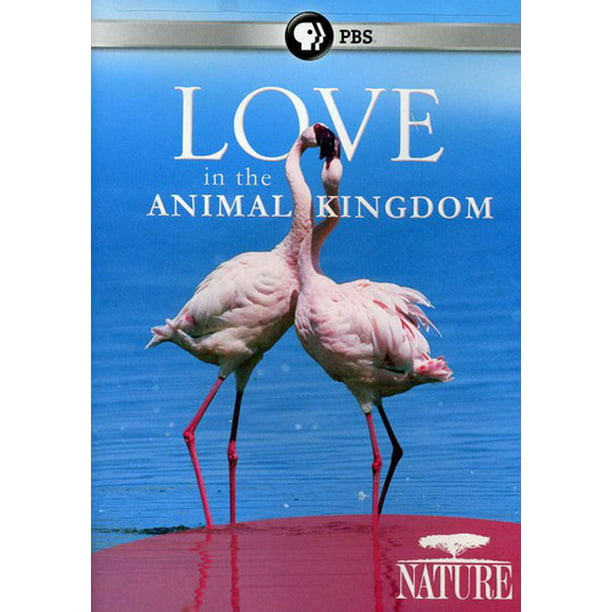 Nature: Love in the Animal Kingdom (DVD) 