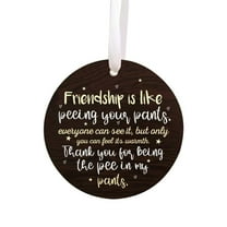 Tyeign Friendship Pissing Pants Funny Wooden Plaque, Best Friend Humor Gift for Wall Door Office, Rustic Home Decoration, Lightweight & Durable, 1X Pendant, 1X Pendant