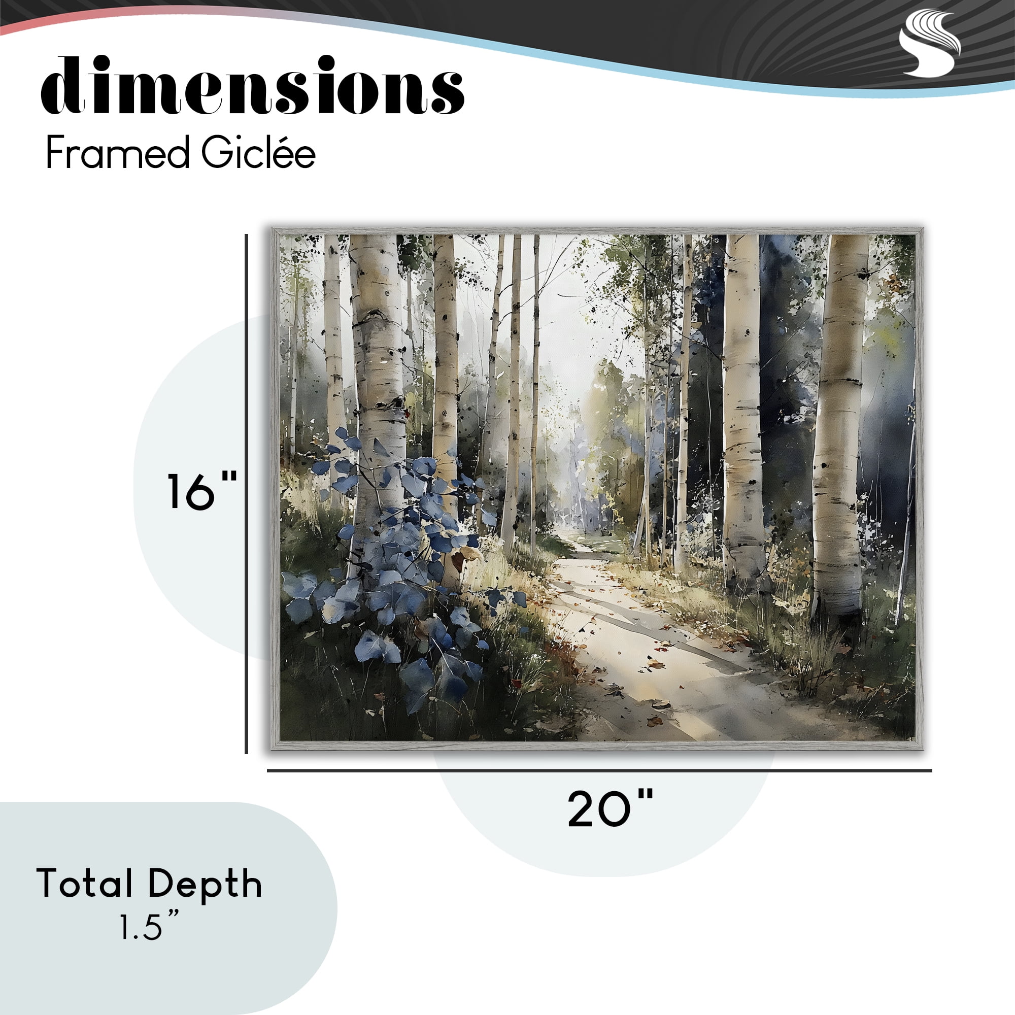 Stupell Industries Blue Birch Sunlit Forest Gray Framed Giclee Art, design by Franklyn Gregory