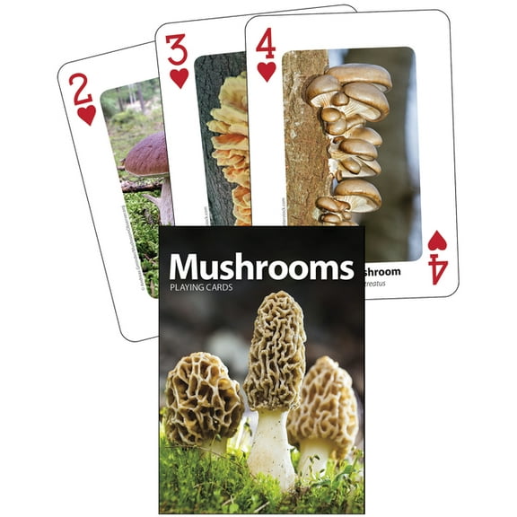 Nature's Wild Cards Mushrooms Playing Cards, (Hardcover)