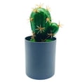 thumbnail image 2 of Kripyery Artificial Bonsai No Wilting Fresh-keeping PVC Cute Faux Cactus with Pot Desktop Decor, 2 of 8