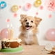 thumbnail image 5 of Injueey Juego de bolas de flores de papel rosa de 7,8 pulgadas, 1 Uds., papel para fiesta de cumpleaños, bolas de papel con pompón, pañuelos Kits de decoración para fiestas Rosa 7.8 pulgadas, 5 of 6