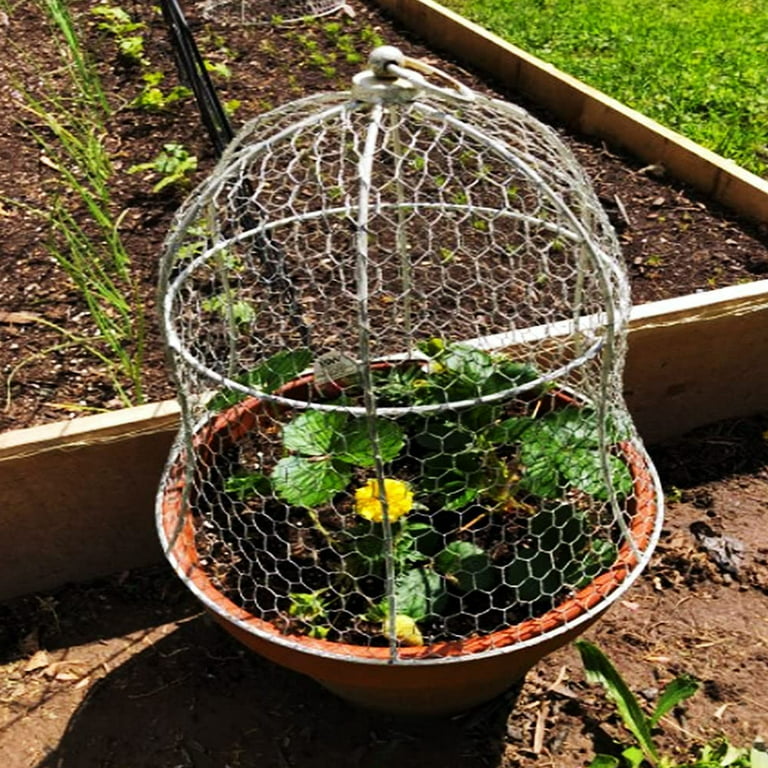 Chicken Wire Mesh Cloche with Base for Plants, Set of Three