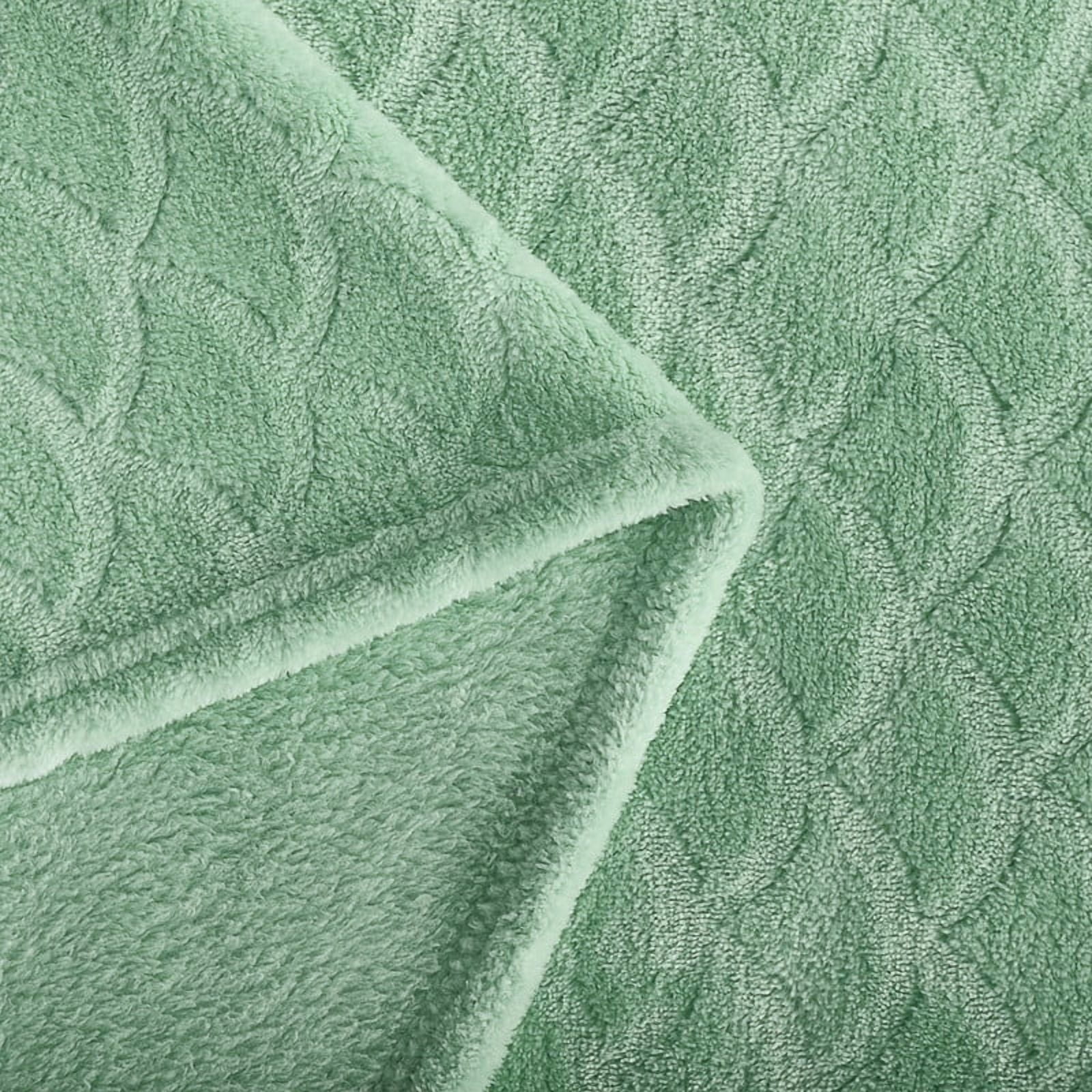 Aisbo Brushed Flannel Blanket Winter Green Queen, Super Soft and Cozy Blankets All Season Use