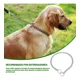 thumbnail image 4 of Cadena De Castigo Entrenamiento Acero Diferentes Medidas, 4 of 8