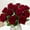 A Wine, variant on 12PCS Artificial Roses Silk Flowers Fake Roses Bouquet Long Stem for Home Wedding Decoration Party (Wine) A