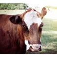 thumbnail image 2 of Peck, Gail 28x26 White Modern Wood Framed Museum Art Print Titled - Farm, 2 of 4