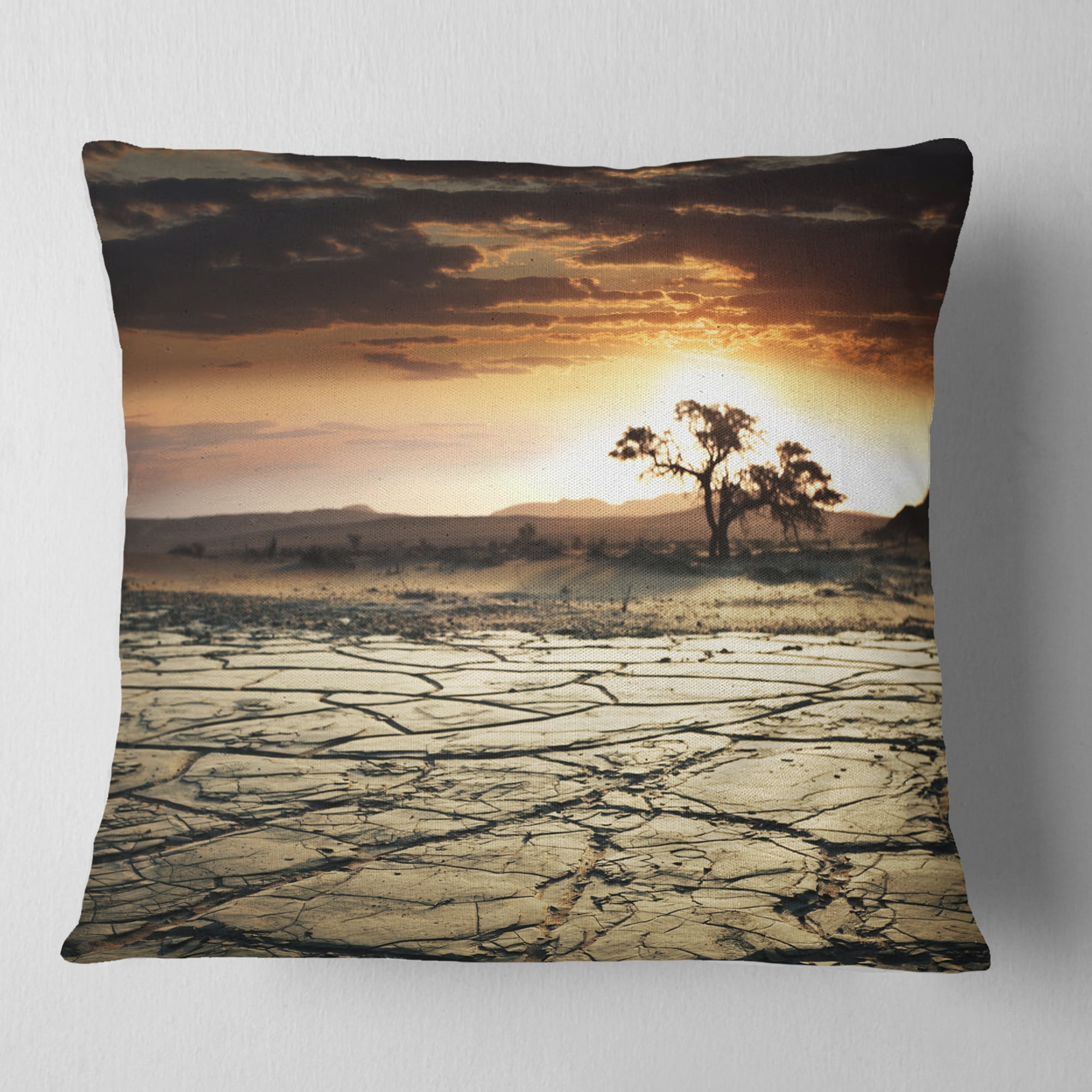 Designart Desert Gopi Cracked Drought Land - African Landscape Printed Throw Pillow - 16x16