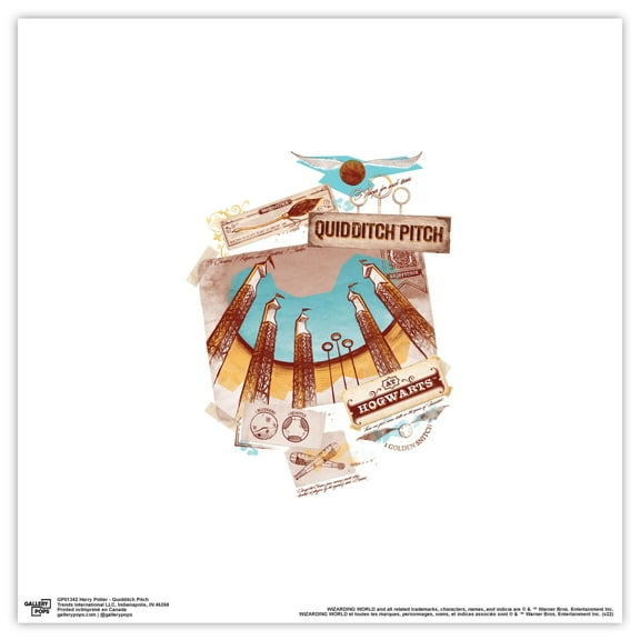 Gallery Pops Harry Potter - Quidditch Pitch Wall Art, Unframed Version, 12" x 12"