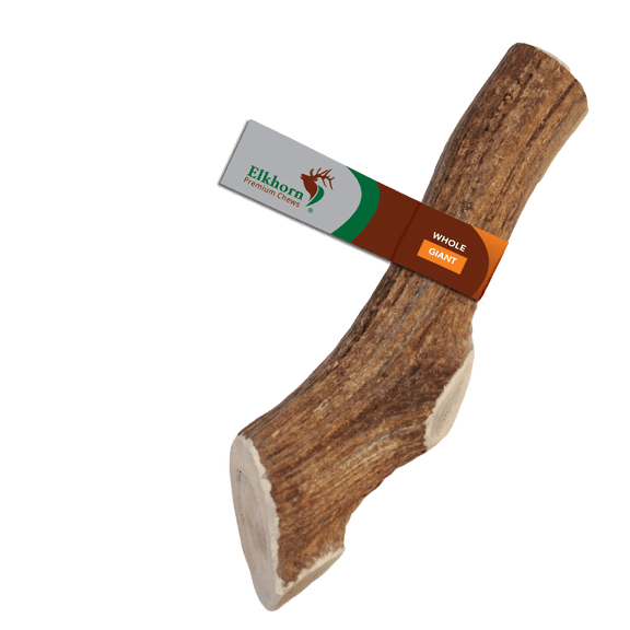 Elkhorn Premium Chews Giant whole (9-11โ long) elk antler chew for 75 lb dogs (1 pack) all-natural premium-grade antler bone, sourced in the USA