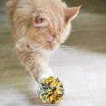 thumbnail image 4 of 20pcs Ride ball Chat Jouet Boule Chaton Exercice Jouet Papier Boule, 4 of 5