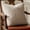 Light Grey, variant on Unique Bargains 2Pcs Wave Textured Throw Pillow Cover Jacquard Cushion Cases Blue 18"x18"