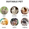 thumbnail image 6 of 10pcs Pet Chewing Molar Block Toys Lava Block Hamster Chewing Toys Chinchilla Teeth Grinding Molar Lava Block Stone, 6 of 7