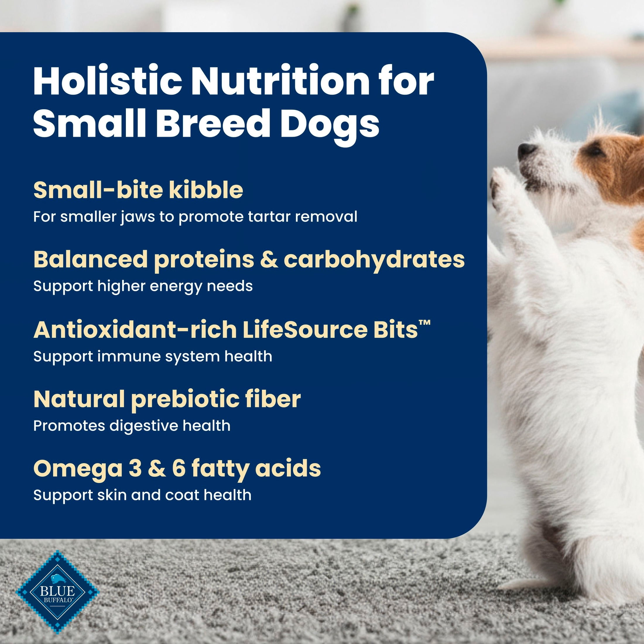 (3 pack) Blue Buffalo Life Protection Formula Small Breed Adult Dry Dog Food Lamb & Rice 5lb Bag