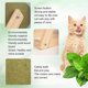 thumbnail image 5 of Cat Mint Ball Toy, Rotatable Catnip Roller Ball Floor Mount(Large), 5 of 5