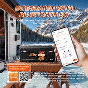 LiTime 12V 200Ah LiFePO4 Lithium Battery Low Temp Bluetoothfor RV Marine Solar