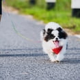thumbnail image 4 of ELAYARD Sturdy Professional Dog Chain Leash Lightweight Comfortable Skin Friendly Material, 4 of 7
