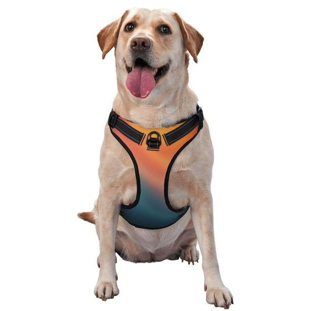 Balery yellow orange and teal Arnés para Perros Grandes Antitirones, Arnés con Correa para Gato, Arnés Tipo Chaleco para Perros Pequeños-Medium