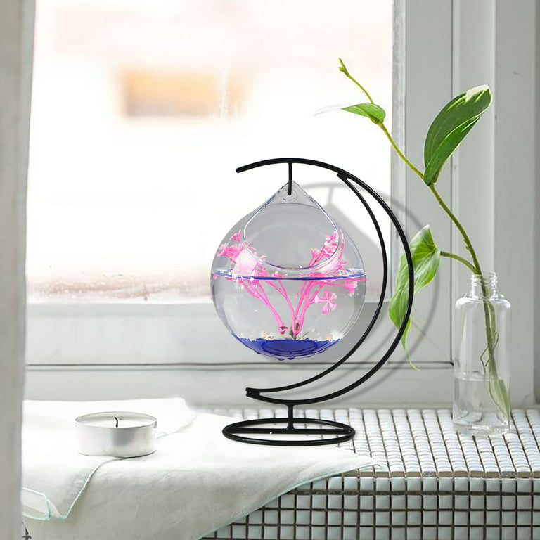 okwish Transparent Glass Small Fish Tank Wrought Iron Hanging Gold Fish  Tank (Random Color Of Sand, Stone And Water Plants)