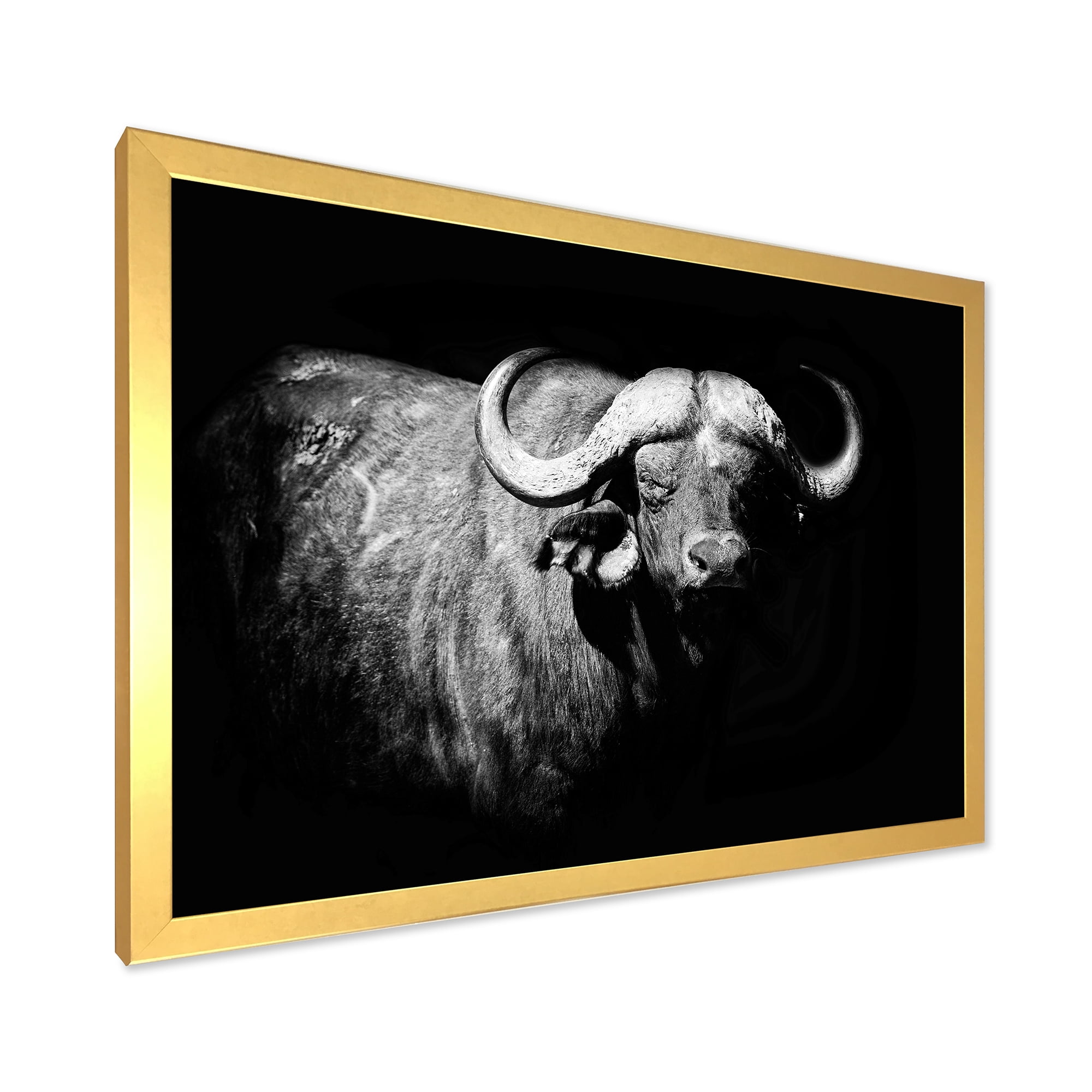 Designart 'Black and White Portrait Of Buffalo I' Farmhouse Framed Art Print