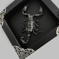 thumbnail image 3 of Scorpion Display Real Frame Shadow Box Insect Art Wall Decor Curiosity Cabinet Nature Decoration Gift For Women Desk Tabletop Or Wall Hanging Black Frame Home Decor K12-51-DE, 3 of 6