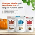 thumbnail image 3 of Superseedz Gourmet Roasted Pumpkin Seeds | Somewhat Spicy | Whole 30, Paleo, Vegan & Keto Snacks | 8g Plant Based Protein | Produced In USA | Nut Free | Gluten Free Snack | (6-pack, 5oz each), 3 of 6