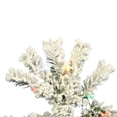 thumbnail image 2 of Vickerman 9.5' Flocked Pacific Artificial Christmas Tree, Multi-Colored LED Lights, 2 of 2