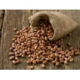 thumbnail image 4 of Pinto Bean Plant Seeds, 50 Heirloom Seeds Per Packet, Non GMO Seeds, 4 of 9