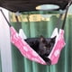 thumbnail image 4 of Hamaca para gatos, hamaca transpirable para mascotas con correas ajustables y ganchos de metal, hamaca colgante de doble cara para gatos, hurones, cachorros y otros animales pequeños, 4 of 6