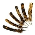 thumbnail image 3 of Zucker 10-12" Tie Dye Turkey Feather, Beige and Brown, 6 piece package, 3 of 5
