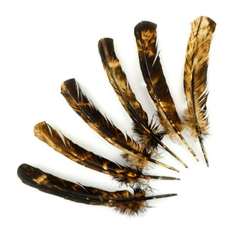 Touch of Nature Ringneck Pheasant Feathers Dark Olive 10-12 2pc