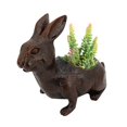 thumbnail image 2 of Jardinières en Résine en Forme de Lapin Suspendues pour Intérieur et Extérieur Succulentes et Plus, 2 of 8