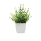 thumbnail image 1 of Xiao Hua piezas de plantas falsas, mini plantas verdes artificiales, planta en maceta, decoración del hogar, oficina, escritorio, habitación, casa de campo (planta en maceta de lavanda), 1 of 5
