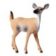 thumbnail image 1 of Billuyoard 6 uds modelos animales simulación adornos navideños decoración de plástico sólido Decoración del hogar, 1 of 6