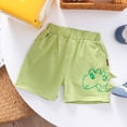 thumbnail image 5 of Children's two-piece summer small and medium-sized children's baby Korean three-dimensional dinosaur short sleeved shorts set for boys' summer wear, 5 of 5