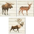 thumbnail image 1 of Great Art Now Northern Wild by James Wiens 3 Piece Canvas Art Set Each 14W x 14H, 1 of 5