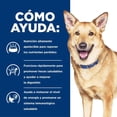 thumbnail image 3 of Hills alimento para perro digestive care estofado húmedo 354g, 3 of 5