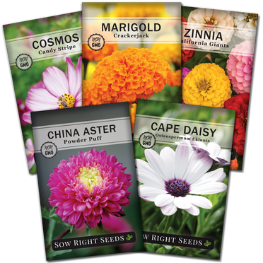 Flower Farm Garden Seed Collection - Non GMO Varieties - 24 Count ...