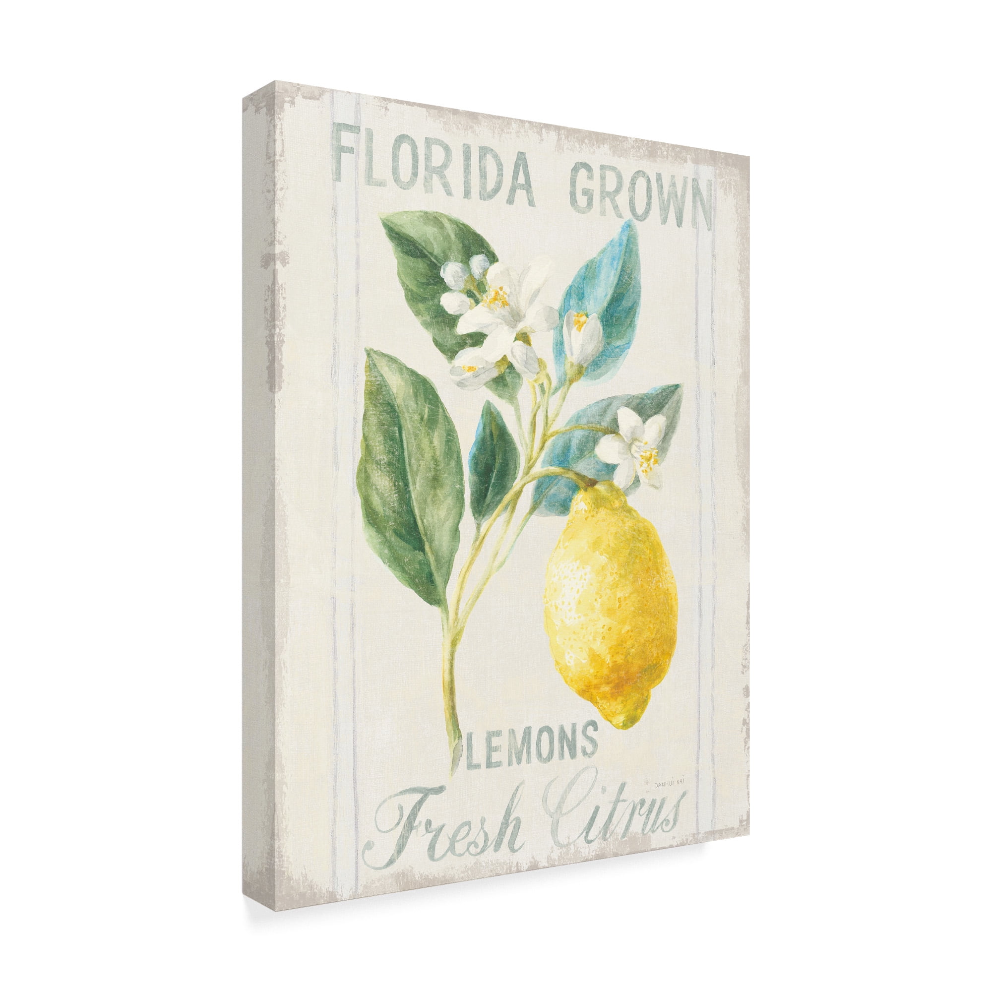 Trademark Fine Art 'Floursack Lemon I' Canvas Art by Danhui Nai