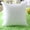 White, variant on ZHANQUNE Standard 16x16 Inch Pillow Insert, White Cotton Cushion Core & Filler for Decorative Throw Pillows, Smooth Surface, Home Decor, 40x40cm