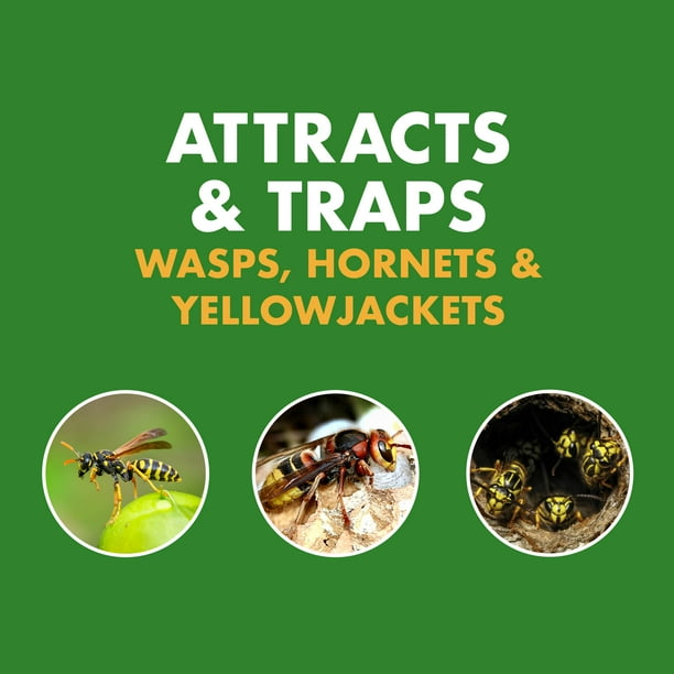 Spectracide Wasp, Hornet and Yellowjacket Trap, Quick-Drown