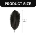 thumbnail image 3 of Clearance! Eguiwyn 68Inch(1520cm) Feathers Plume for Wedding Centerpieces Home Decoration Pack Of 15Pcs Large Natural Plumas Para Decoraciones for Home Decor Party Wedding Decorations, 3 of 7