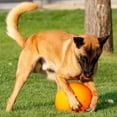 thumbnail image 4 of Pelota Virtually Indestructible Doggie Dooley 10 Pulgadas para Perros, 4 of 8